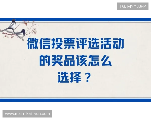 粉丝投票决定镜头焦点提升观赛参与感与互动性